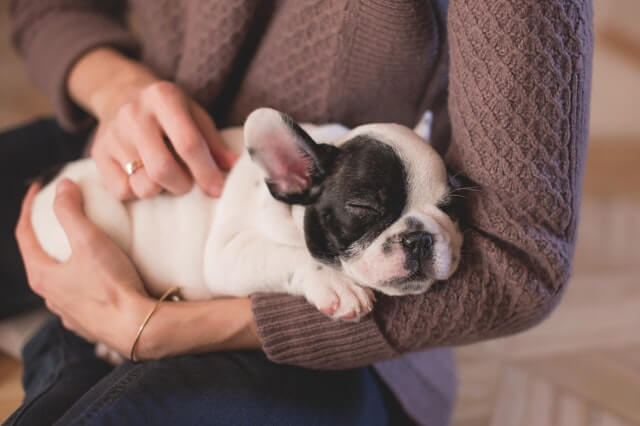 A new home provides more value because it is has better air quality for people with allergies or asthma and homes with pets