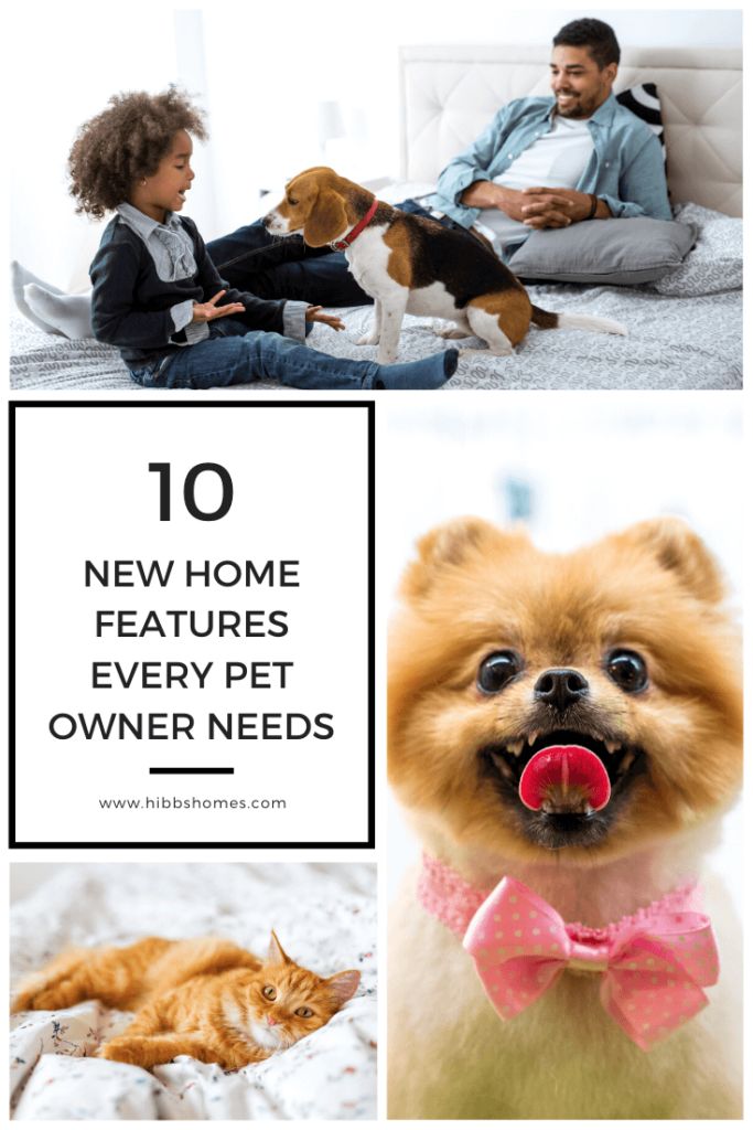 10 New Home Features Evert Pet Owner Needs