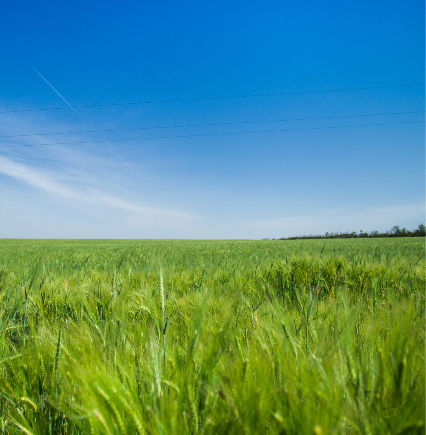 Build-On-Your-Lot-Land-Custom-Home-Building Build a Home on Your land