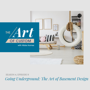 Lower Level Design Ideas